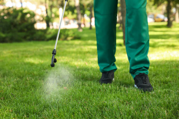 Best Pest Control Near Me in Philmont, NY