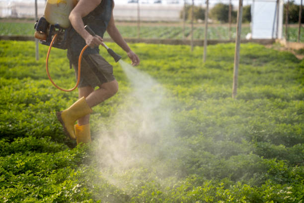 Best Commercial Pest Control Services  in Philmont, NY
