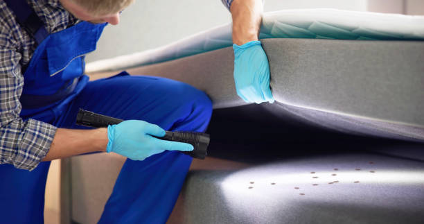 Professional Pest Control in Philmont, NY