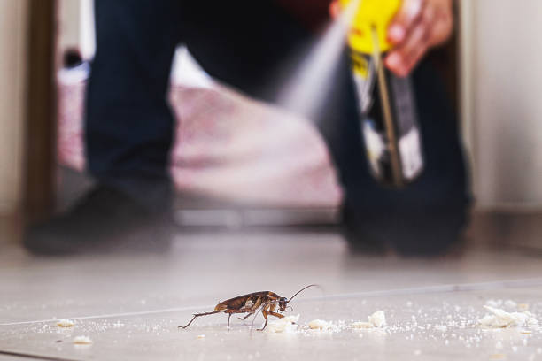 Flea Control Services in Philmont, NY