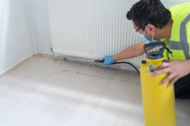 Best Exterminator Services  in Philmont, NY