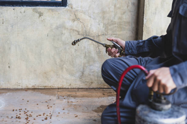 Best Local Pest Control Services  in Philmont, NY